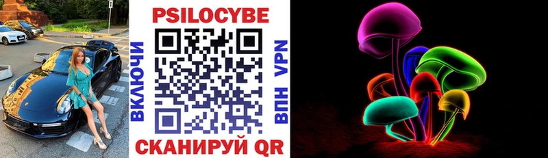 Купить где  Павлово  Галлюциногенные грибы Psilocybe 